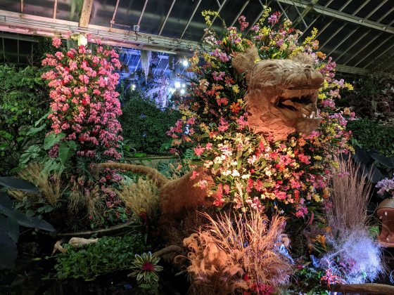 An orchid display in a garden Conservatory. 